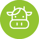 Impact Icon 4
