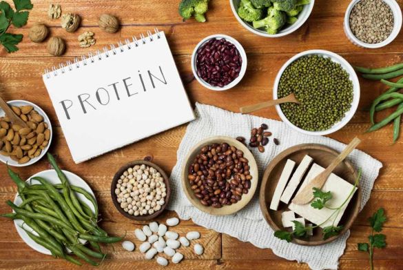 Sabia que a alimentação vegana é uma fonte inesgotável de proteínas? E podemos provar!