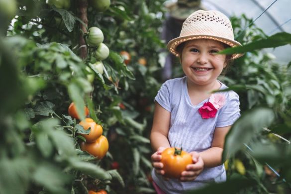 Veganismo no Brasil: saiba tudo desse público que está crescendo